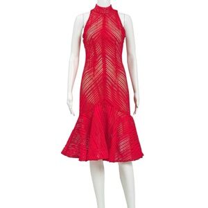 Eclect Red Embroidered Dress, Midi Length, High Neck, Racer Back, Trumpet Hem